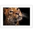 Poster Javan Leopard Carta - Marrone / Nero