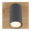 Applique murale Robby III Fer - 1 ampoule