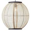 Suspension Tanah Lin / Fer - 1 ampoule