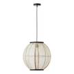 Suspension Tanah Lin / Fer - 1 ampoule