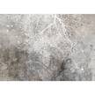 Fotomurale Clear Branching Tessuto non tessuto - Nero - Bianco - 400 x 280 cm