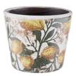 Blumentopf Blätter EVERGREEN II Terracotta - Grün