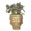 Mini-Blumentopf BUDDHA Beton - Gold