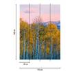 Fotobehang Geel Wit Berkenbos Bergen vlies - 1,92cm x 2,6cm