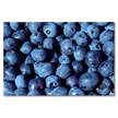 Impression sur toile Blueberries Épicéa massif / Tissu mélangé - 80 x 120 cm