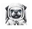 Tableau chien astronaute 60x40cm - Laïka Noir - Textile - 40 x 60 x 3 cm