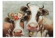 Tableau peint Queens of the Pasture Blanc - Marron - Textile - Bois massif - 100 x 70 x 4 cm