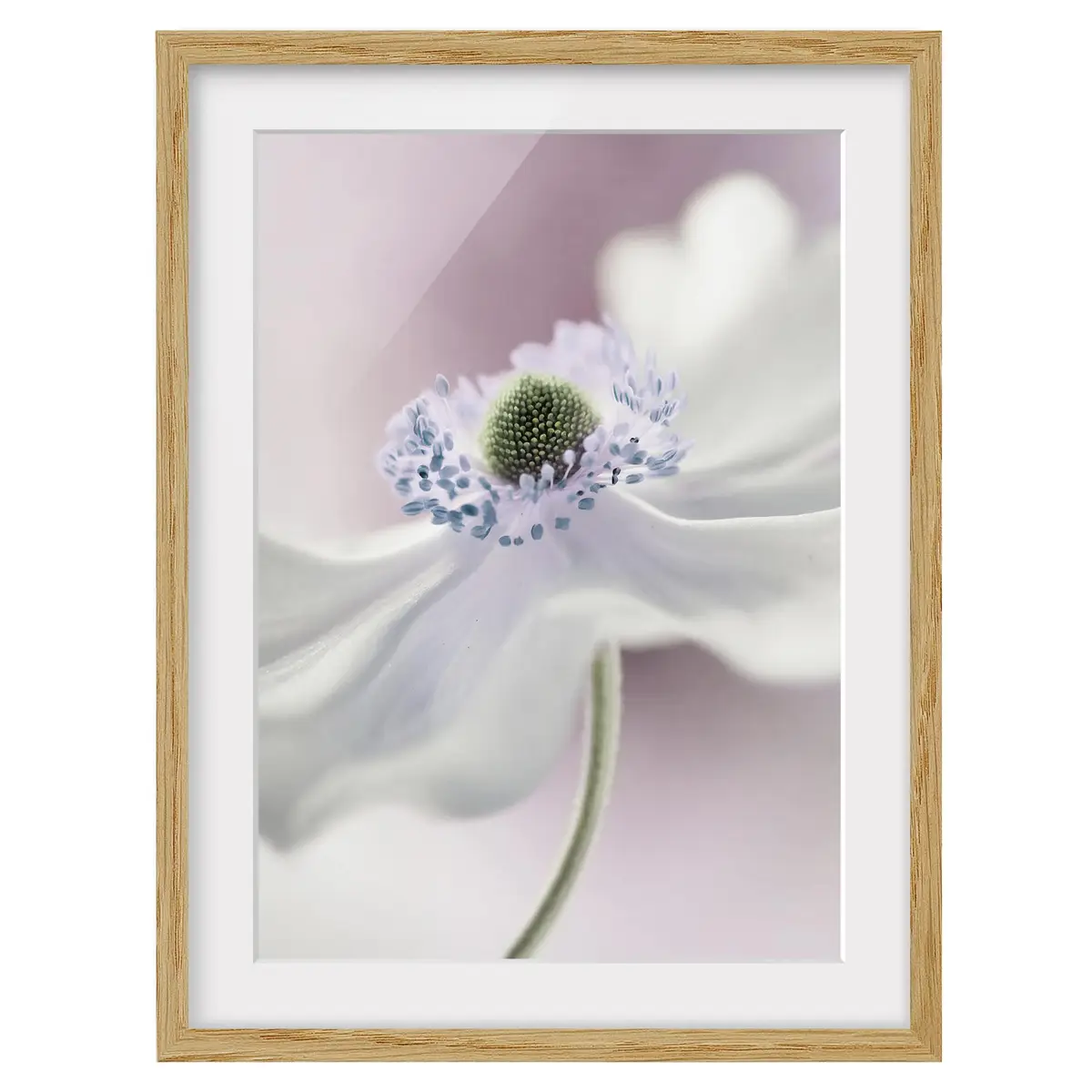 Bild Anemonenbrise IV | Holztöne
