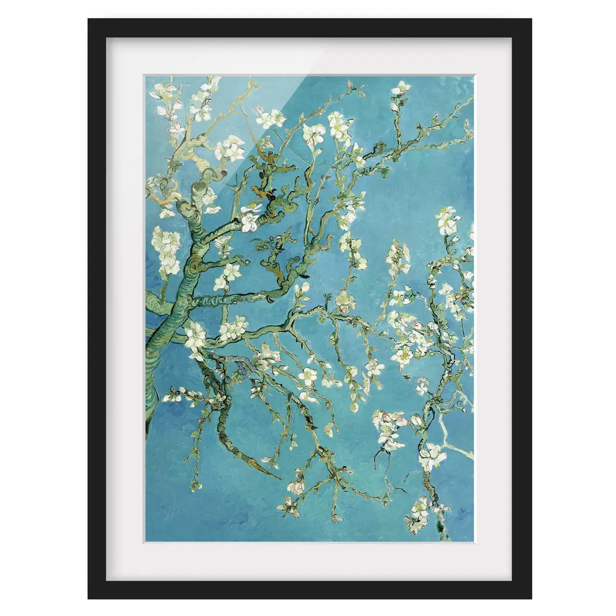 Bild Mandelblüte | Holztöne