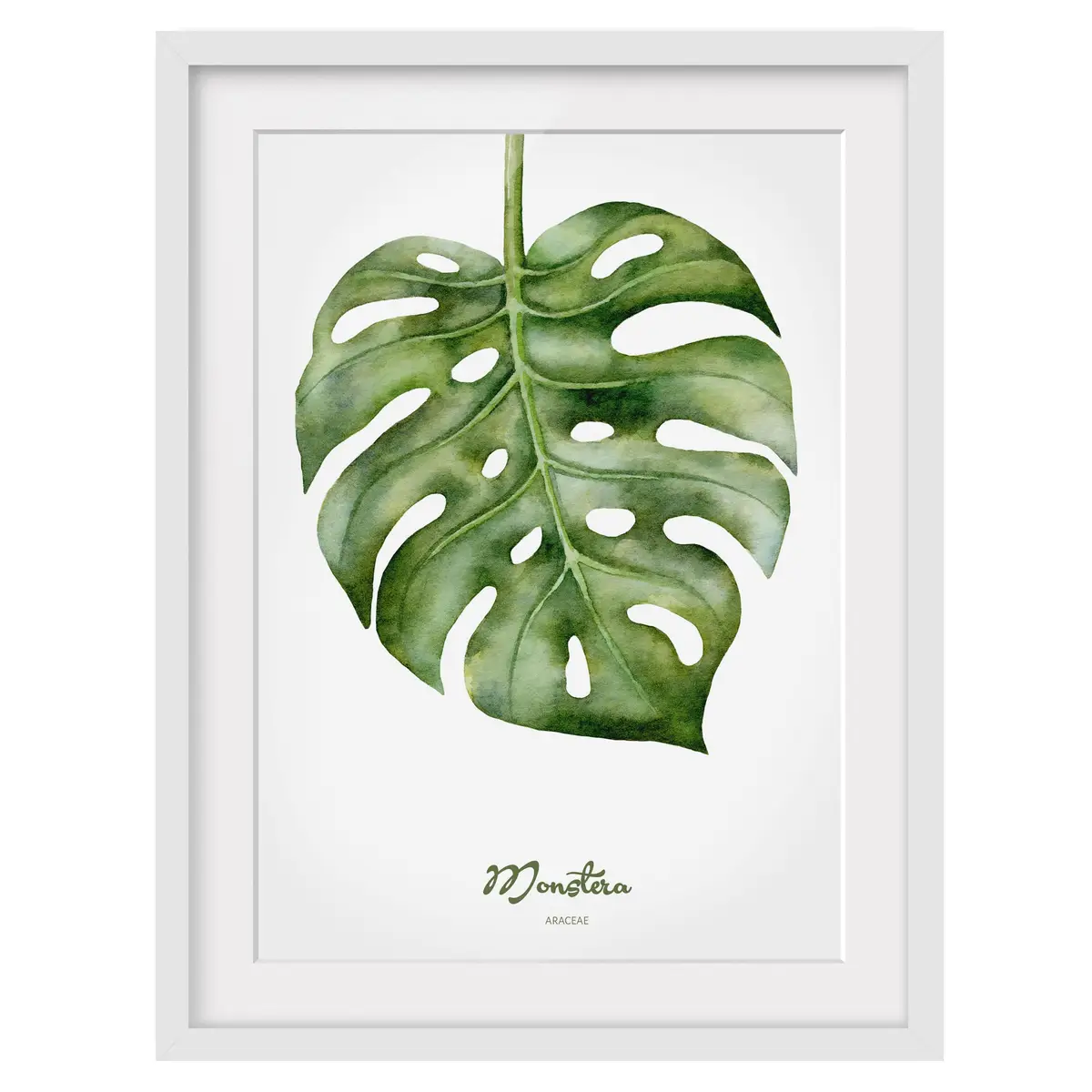 Bild Aquarell Botanik Monstera II | Grün