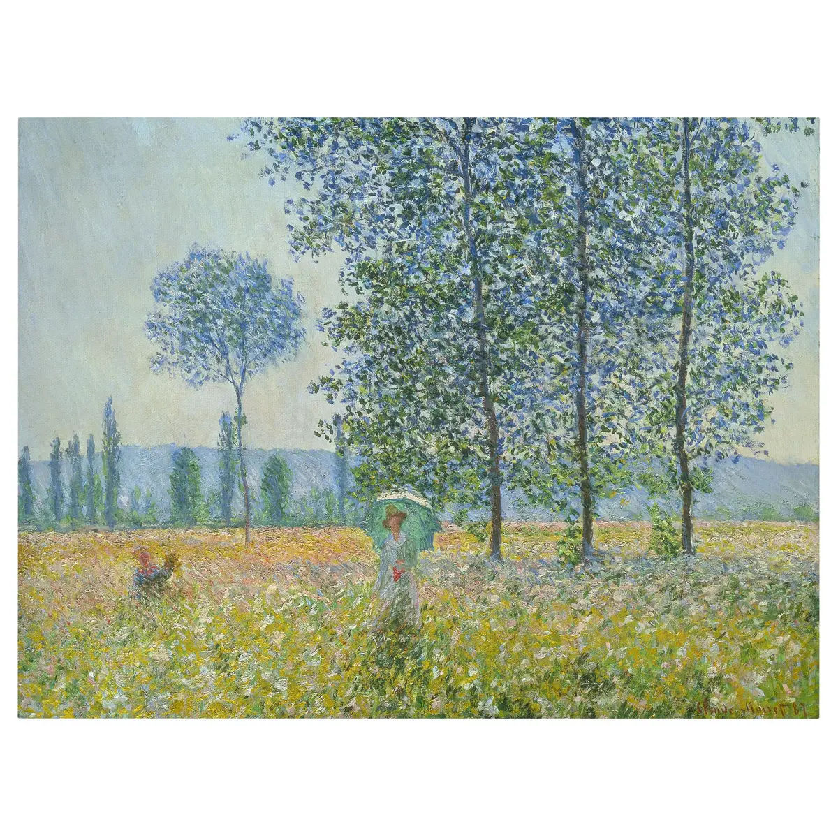 Leinwandbild Felder im Frühling | Grün