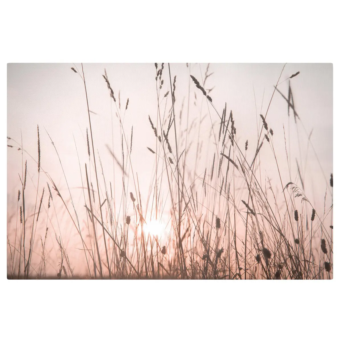 Leinwandbild Ein traumhafter Sommerabend | Beige