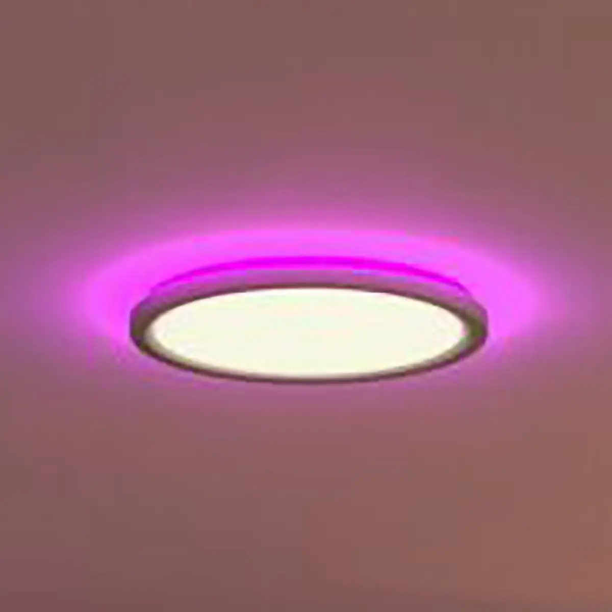 Paulmann LED-Deckenleuchte Sep Switch | Weiß
