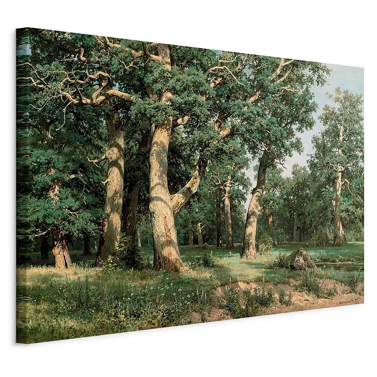 Leinwandbild Oak Forest Filz Grün/Grün 60 x 40cm | Grün
