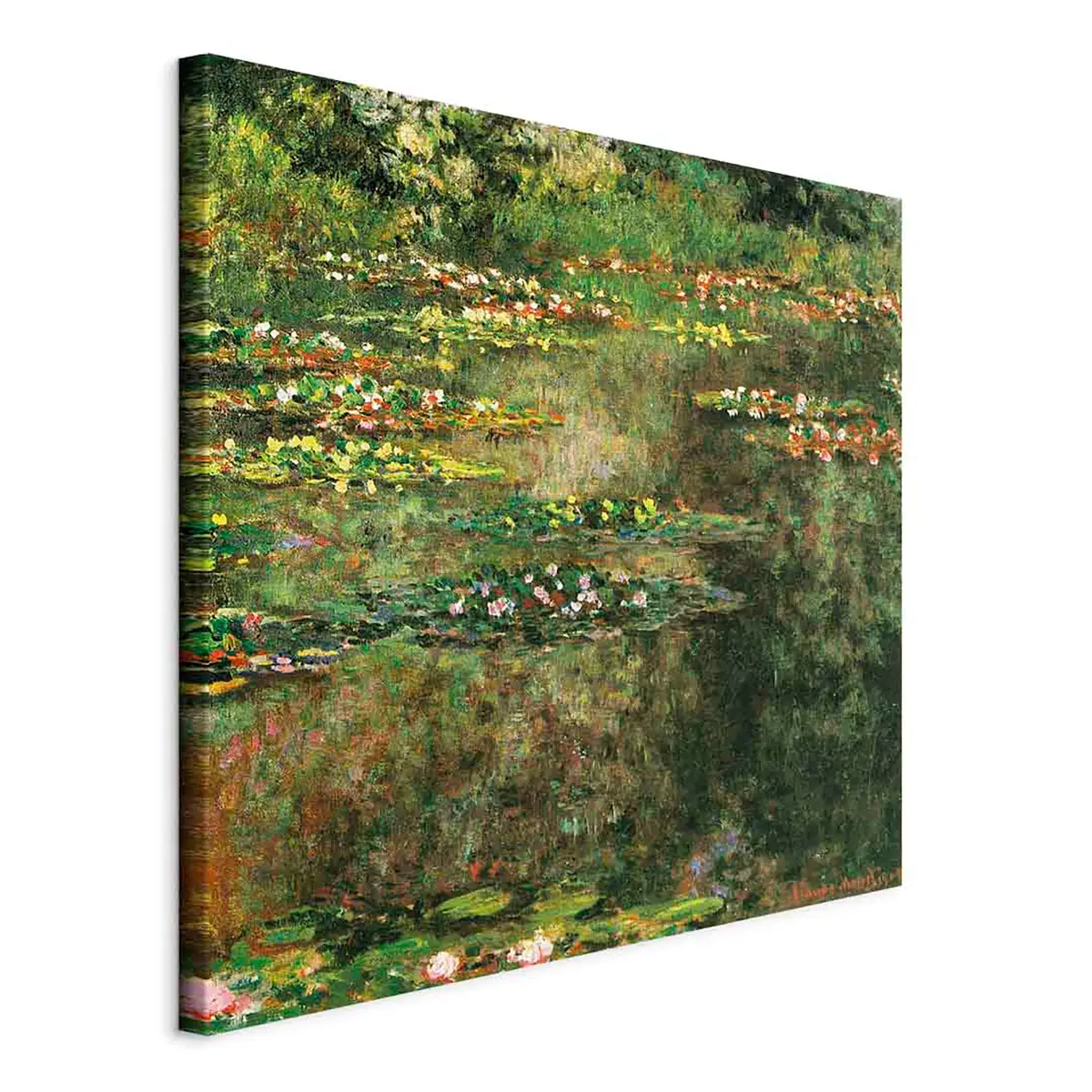 Leinwandbild Pond with Water Lilies Filz Grün/Grün 40 x 40cm | Grün