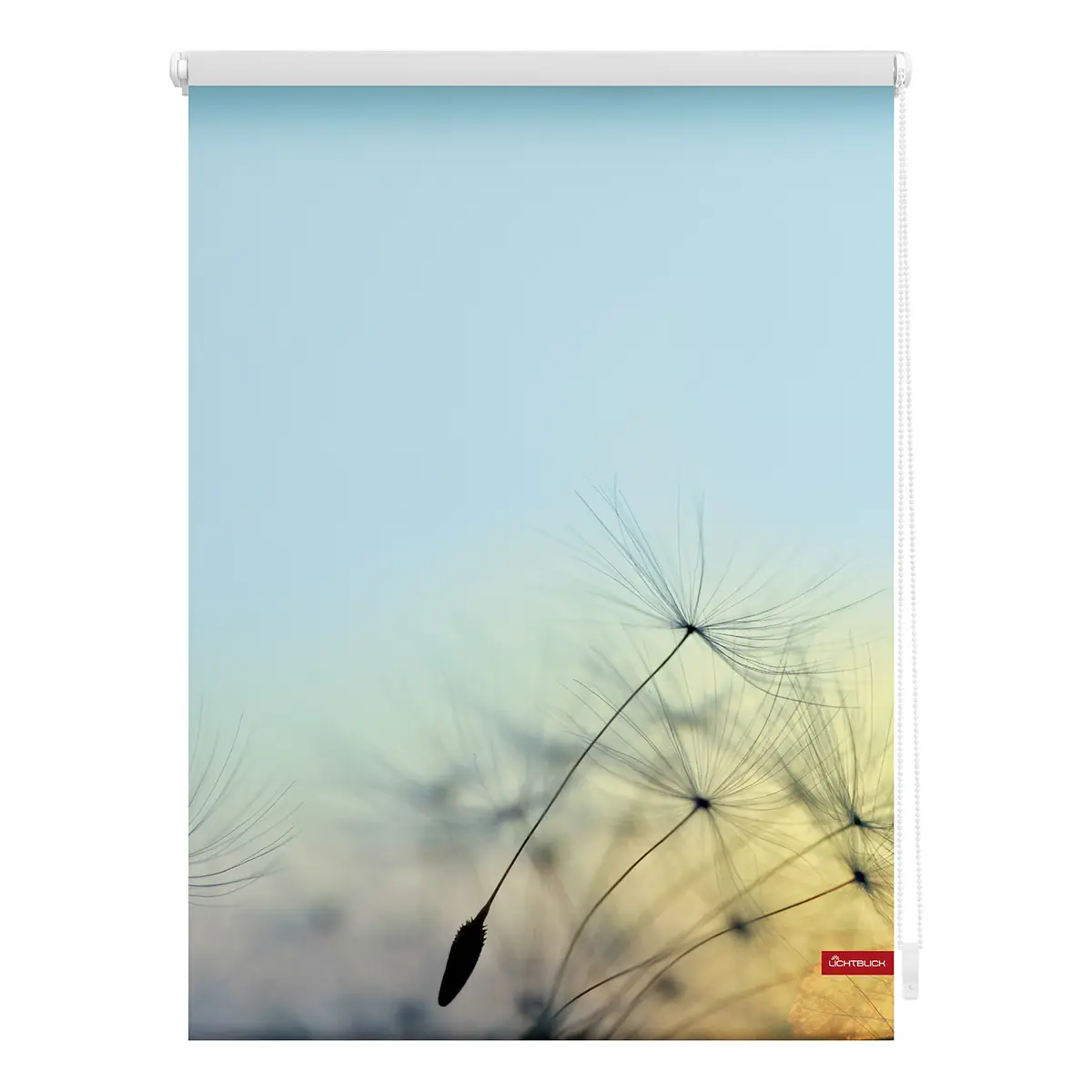 Klemmfix-Rollo Pusteblume | Blau