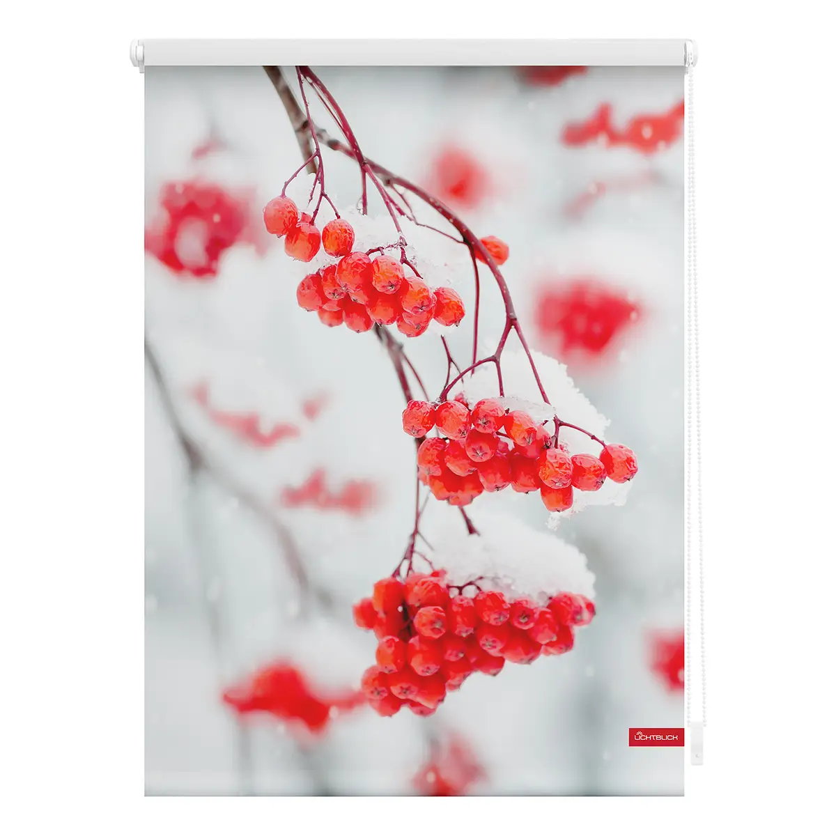Klemmfix-Rollo Vogelbeeren | Rot