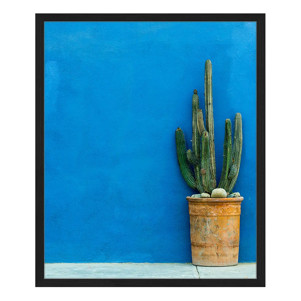 Bild Blue Wall with Cactus | Mehrfarbig