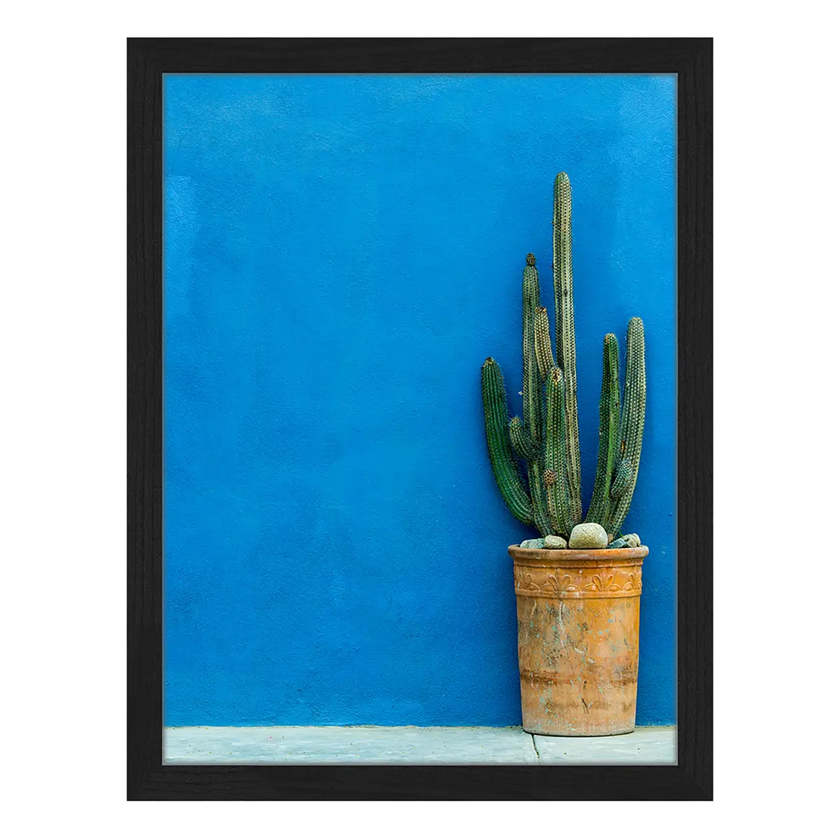 Bild Blue Wall with Cactus | Mehrfarbig