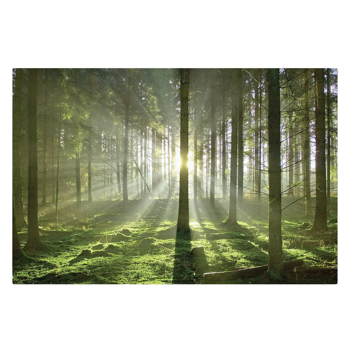 Bild Spring Fairytale Webstoff Multicolor 120 x 80cm