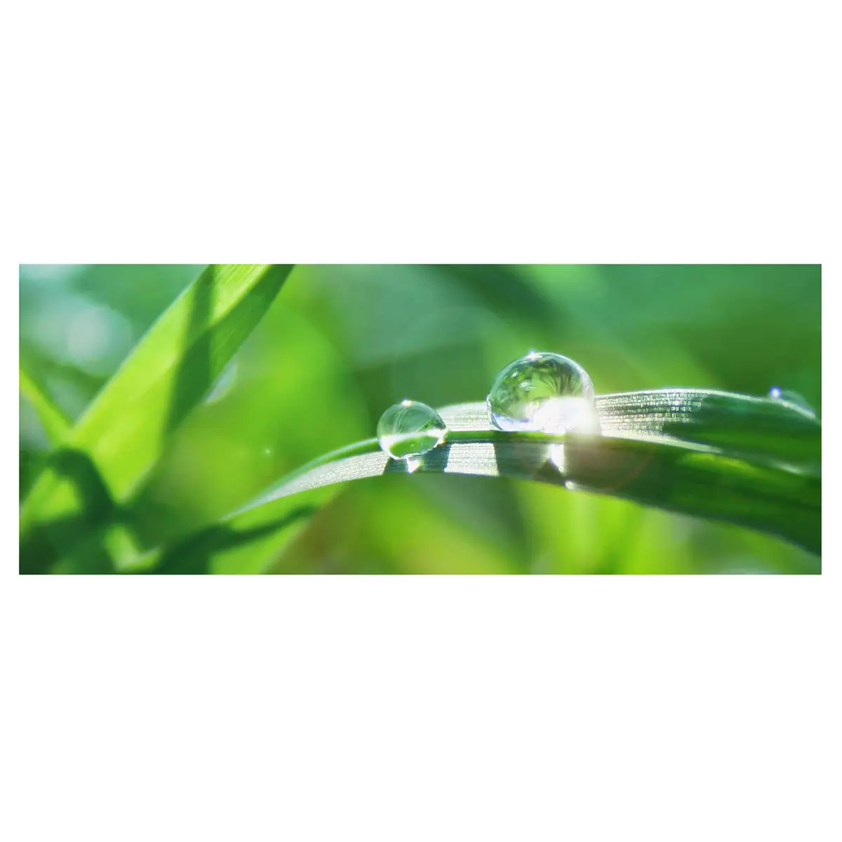 Bild Green Ambiance II | Mehrfarbig