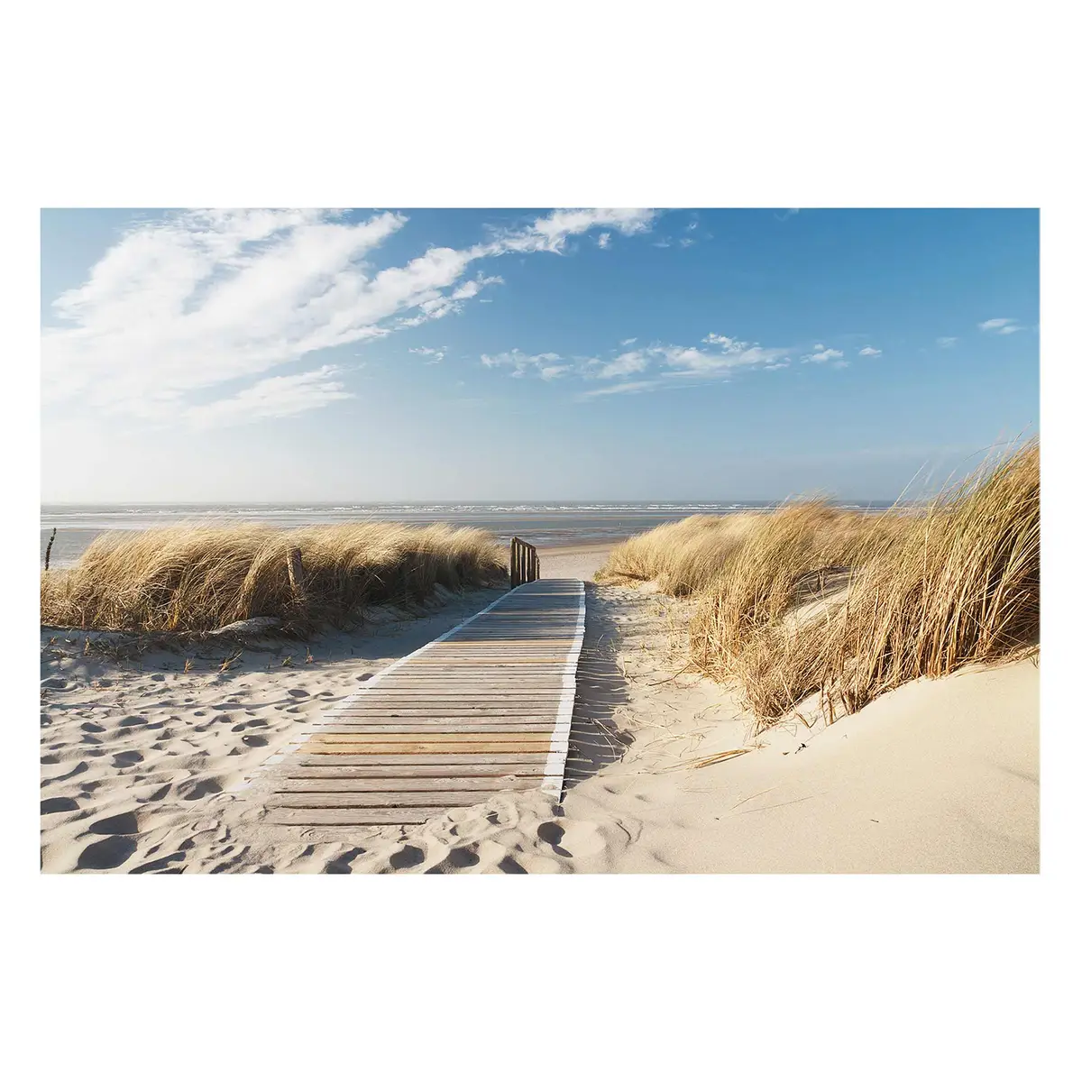 Bild Ostseestrand II | Mehrfarbig