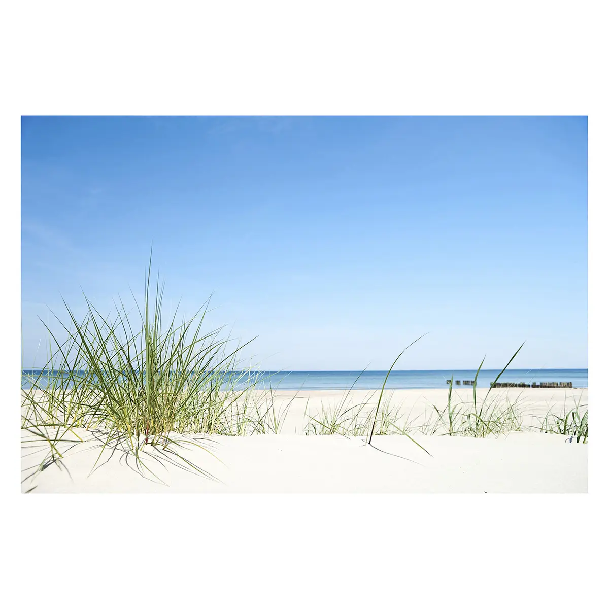 Vliestapete Ostseeküste | Mehrfarbig