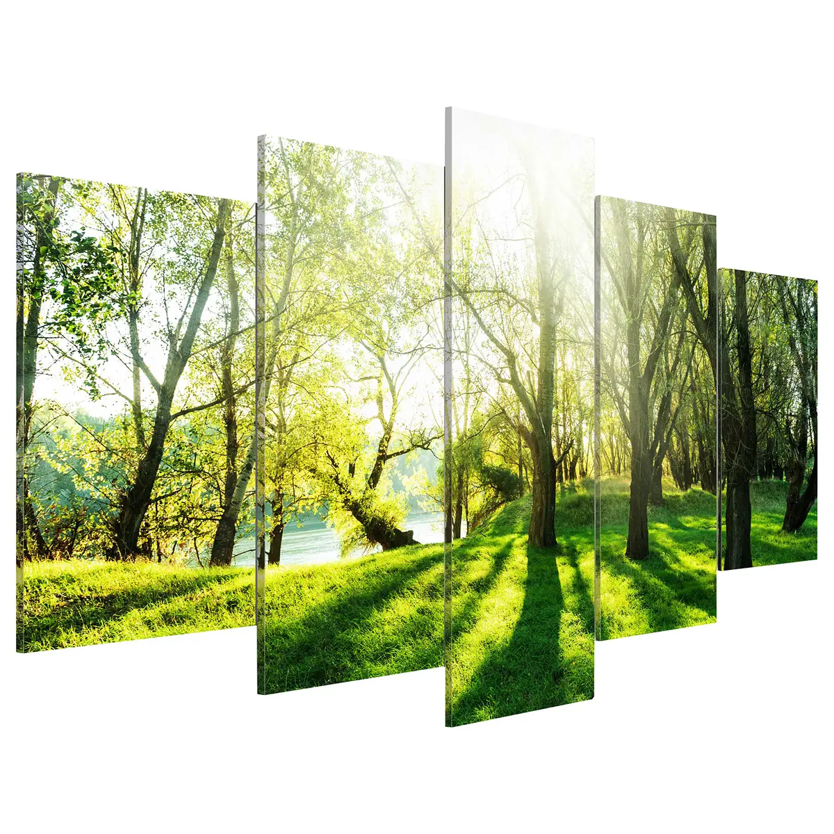 Acrylglasbild Green Glade | Grün