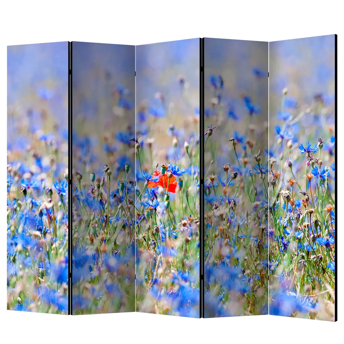 Paravent Meadow Cornflowers | Mehrfarbig