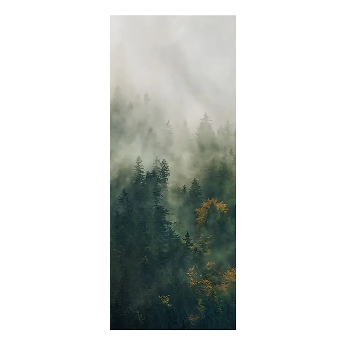 Fototapete Tales of the Carpathians I | Mehrfarbig
