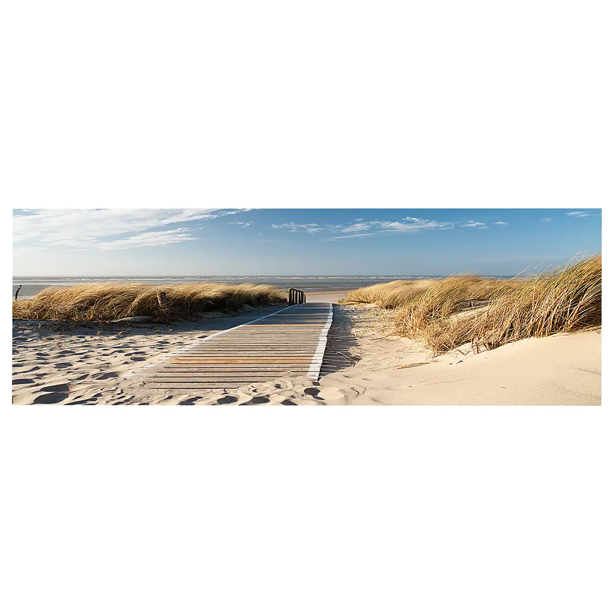 Wandbild Wilder Strand | Blau