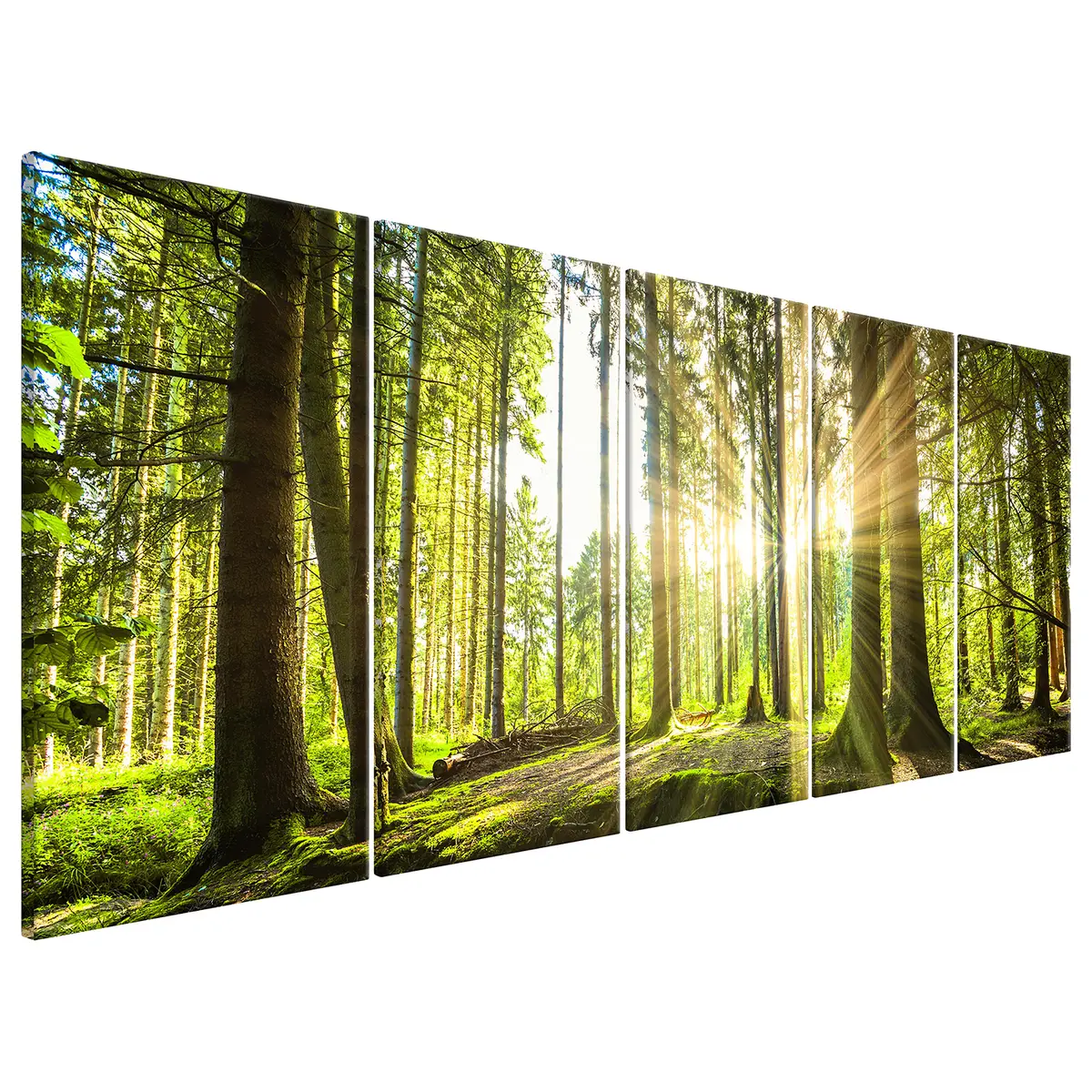 Wandbild Sunlight | Grün