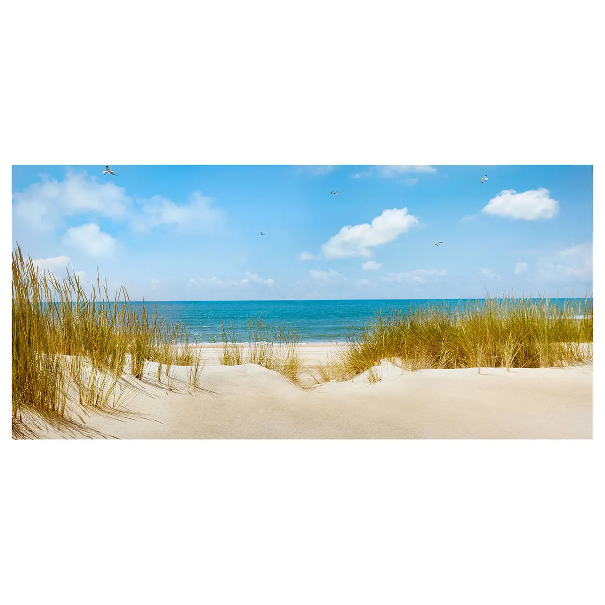 Magnettafel Strand an der Nordsee | Blau