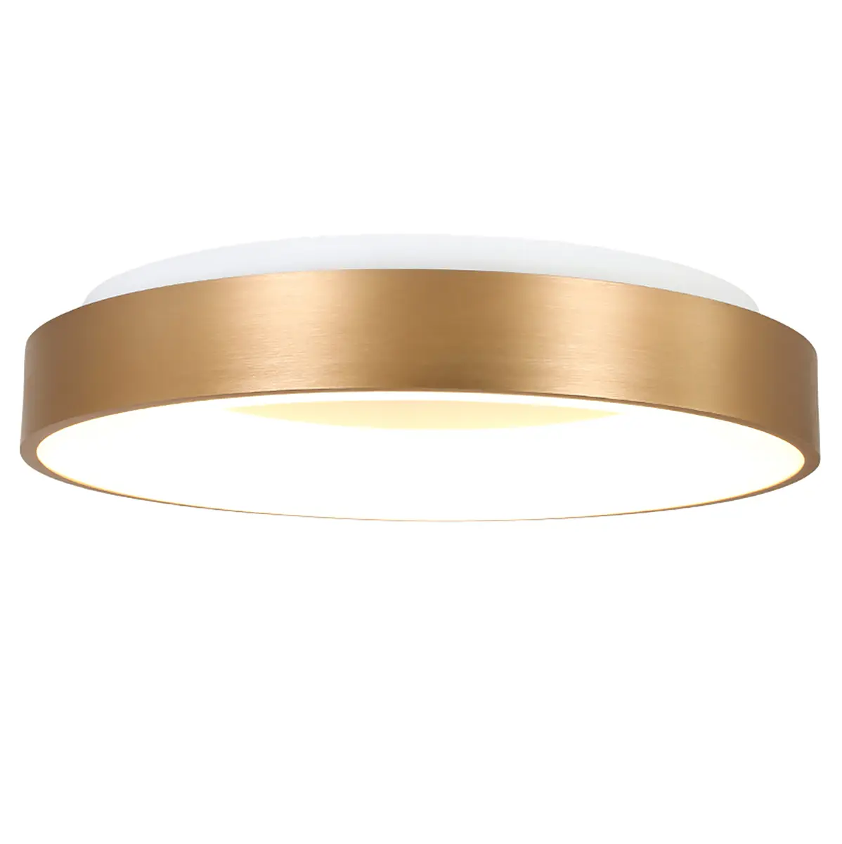 LED-Deckenleuchte Ringlede | Mehrfarbig