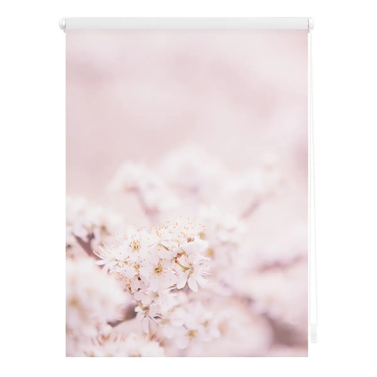 Klemmfix Verdunklungsrollo Kirschblüten | Pink