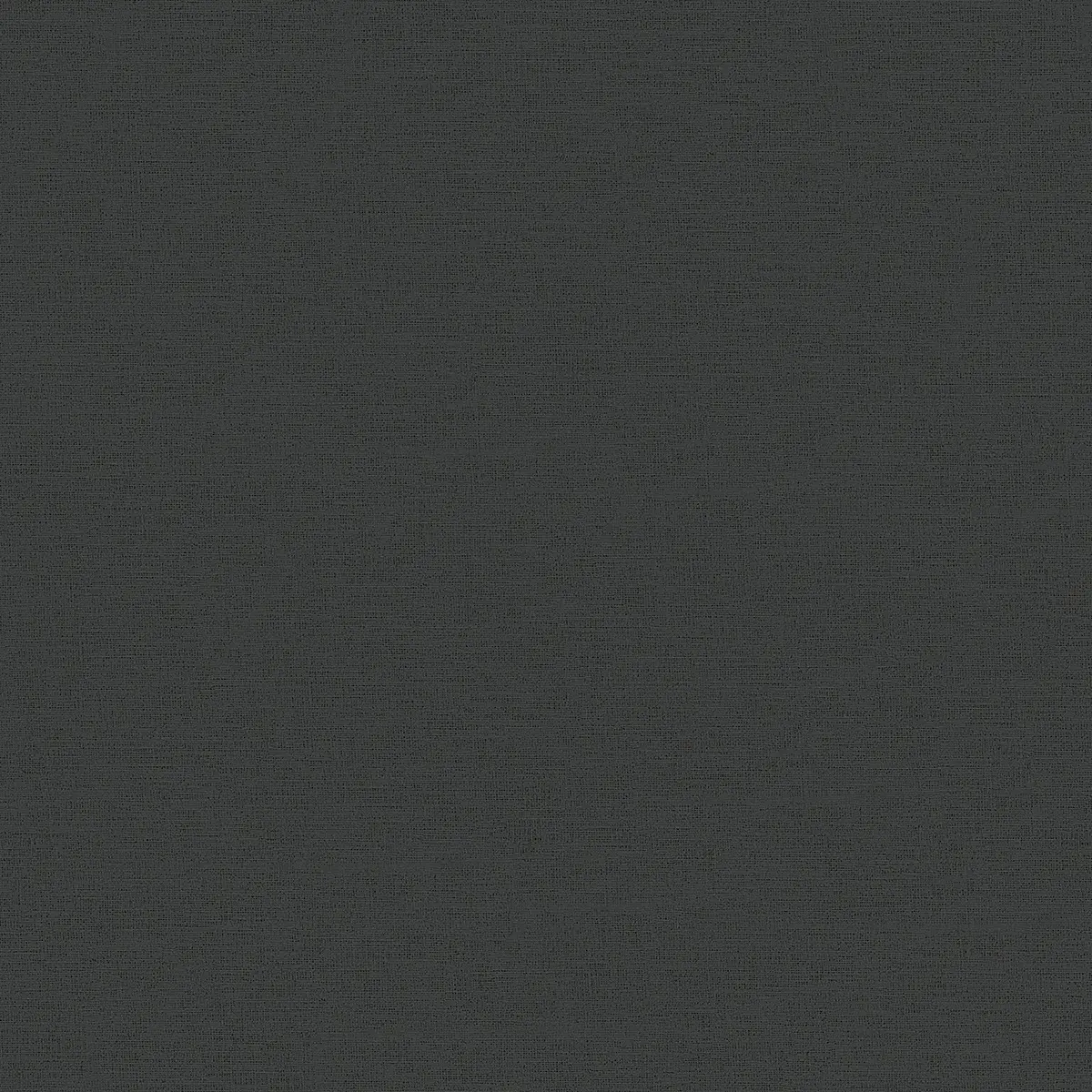 Vliestapete I 53 x 1005cm Schwarz | Schwarz