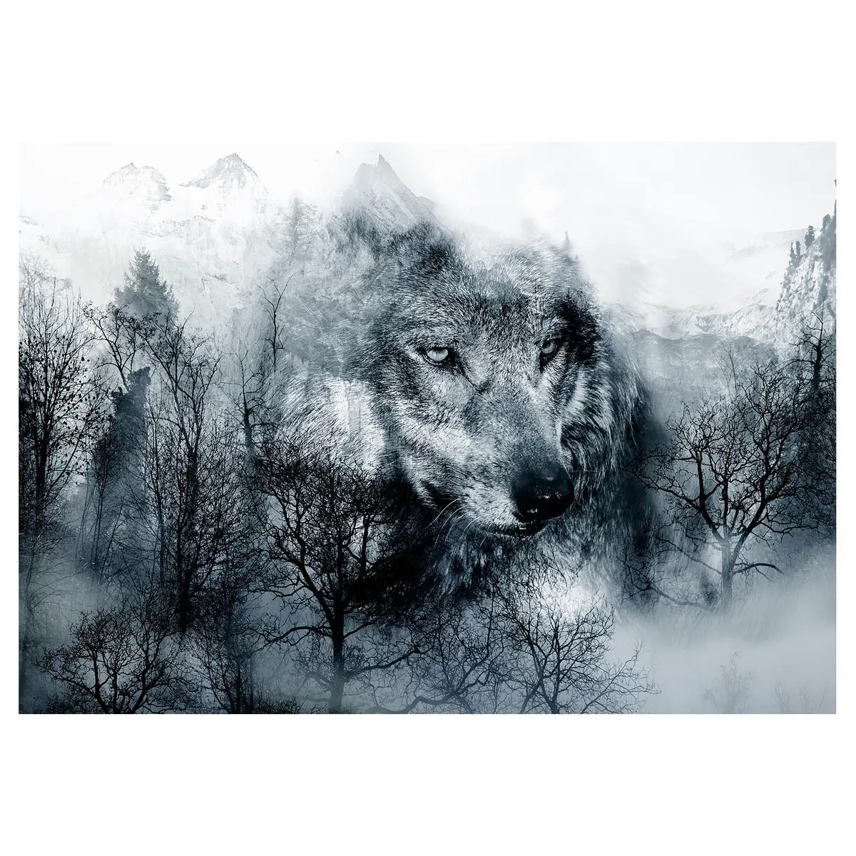 Fototapete Mountain Predator | Mehrfarbig