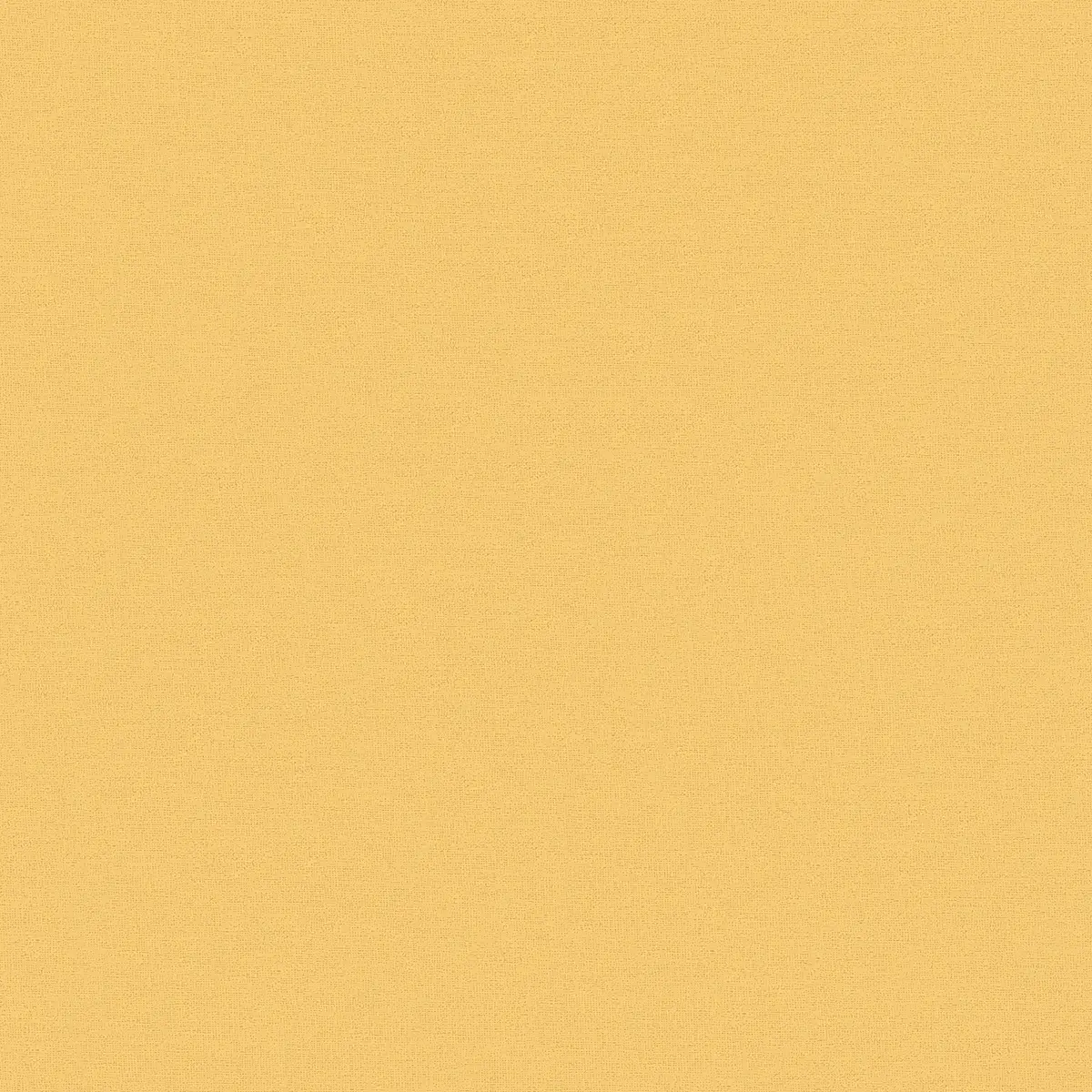 Vliestapete Colatina | Orange