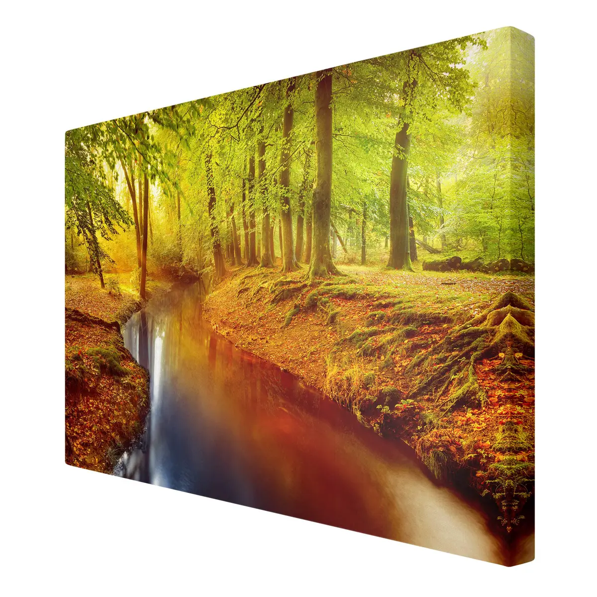 Leinwandbild Herbstwald II | Orange
