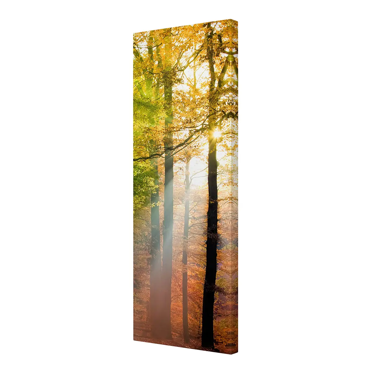 Leinwandbild Morning Light II | Orange