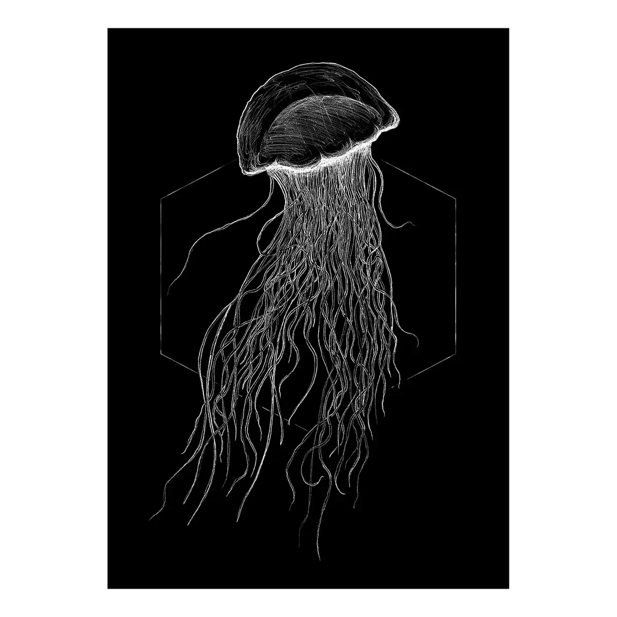 Wandbild Jellyfish | Mehrfarbig