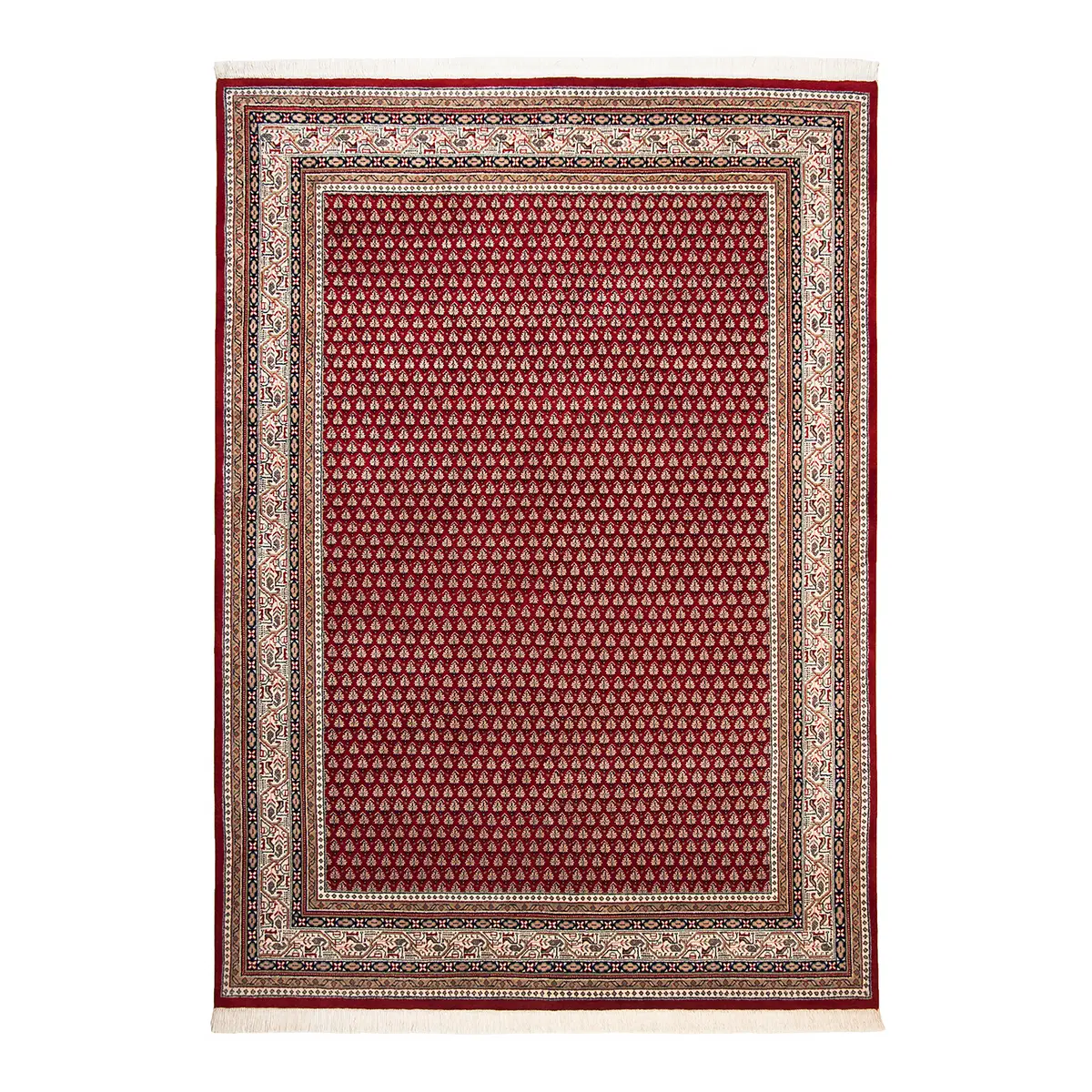 Wollteppich Abbas Meraj Rot 170 x 240cm Wolle | Rot