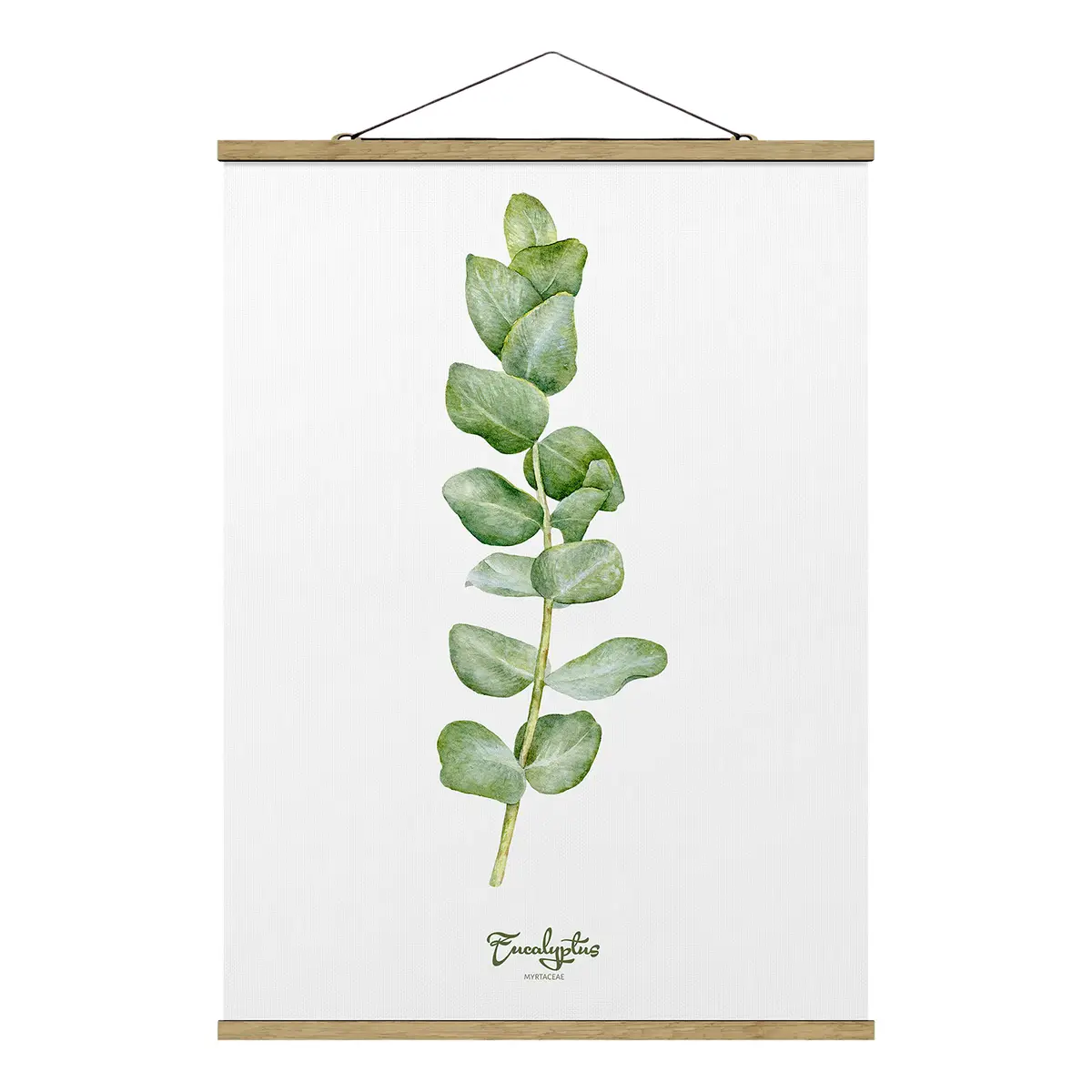 Stoffbild Aquarell Botanik Eukalyptus | Weiß