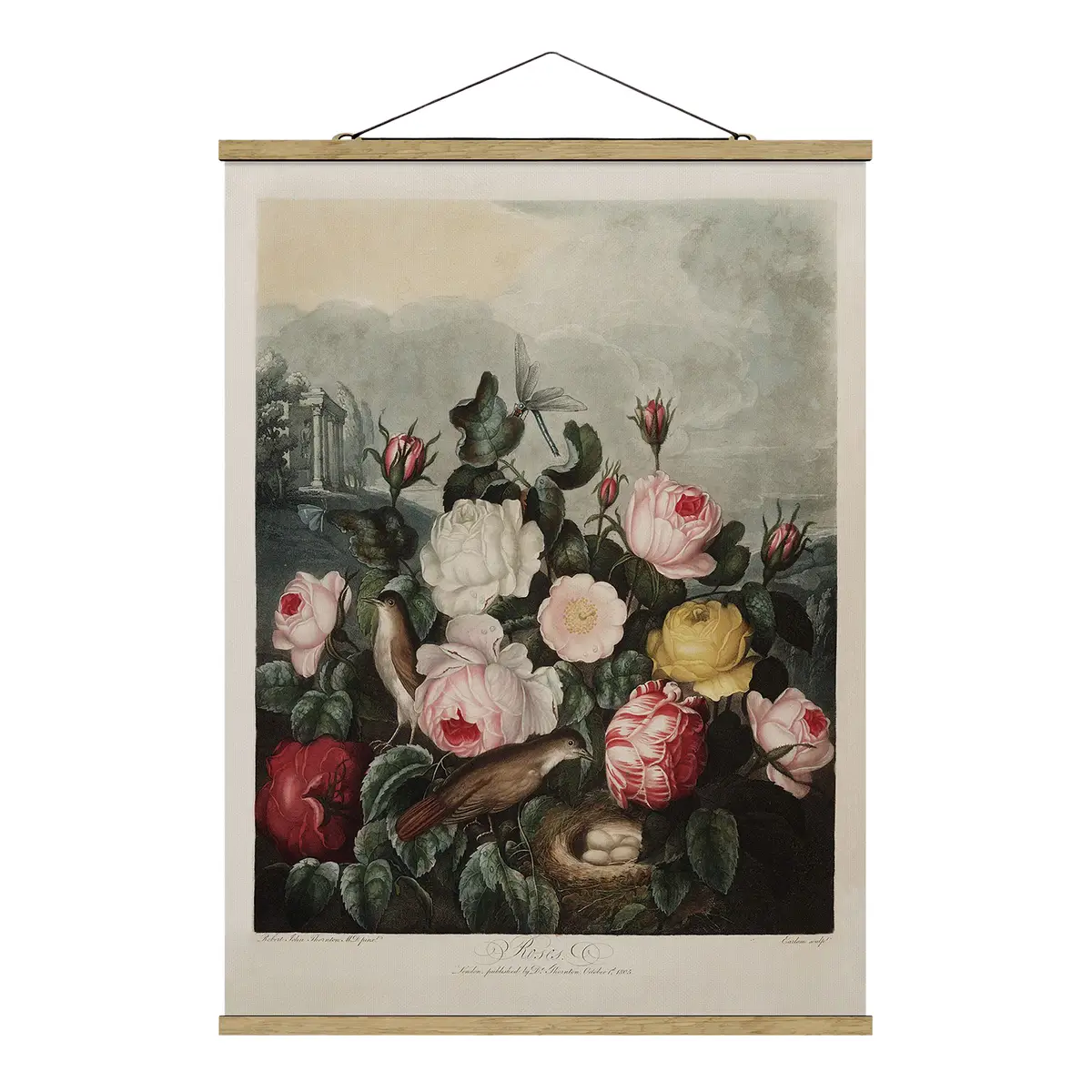 Stoffbild Botanik Vintage Rosen | Mehrfarbig
