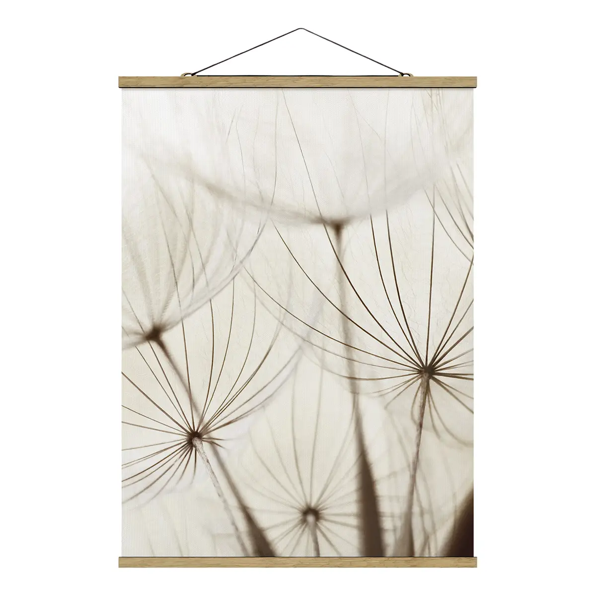 Stoffbild Sanfte Gräser | Beige
