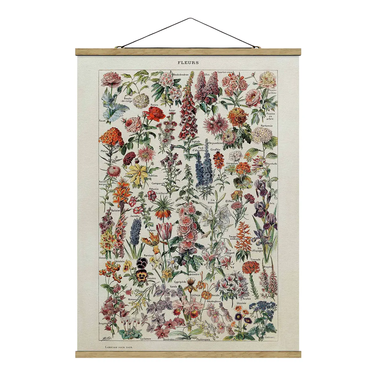 Stoffbild Vintage Lehrtafel Blumen V | Mehrfarbig