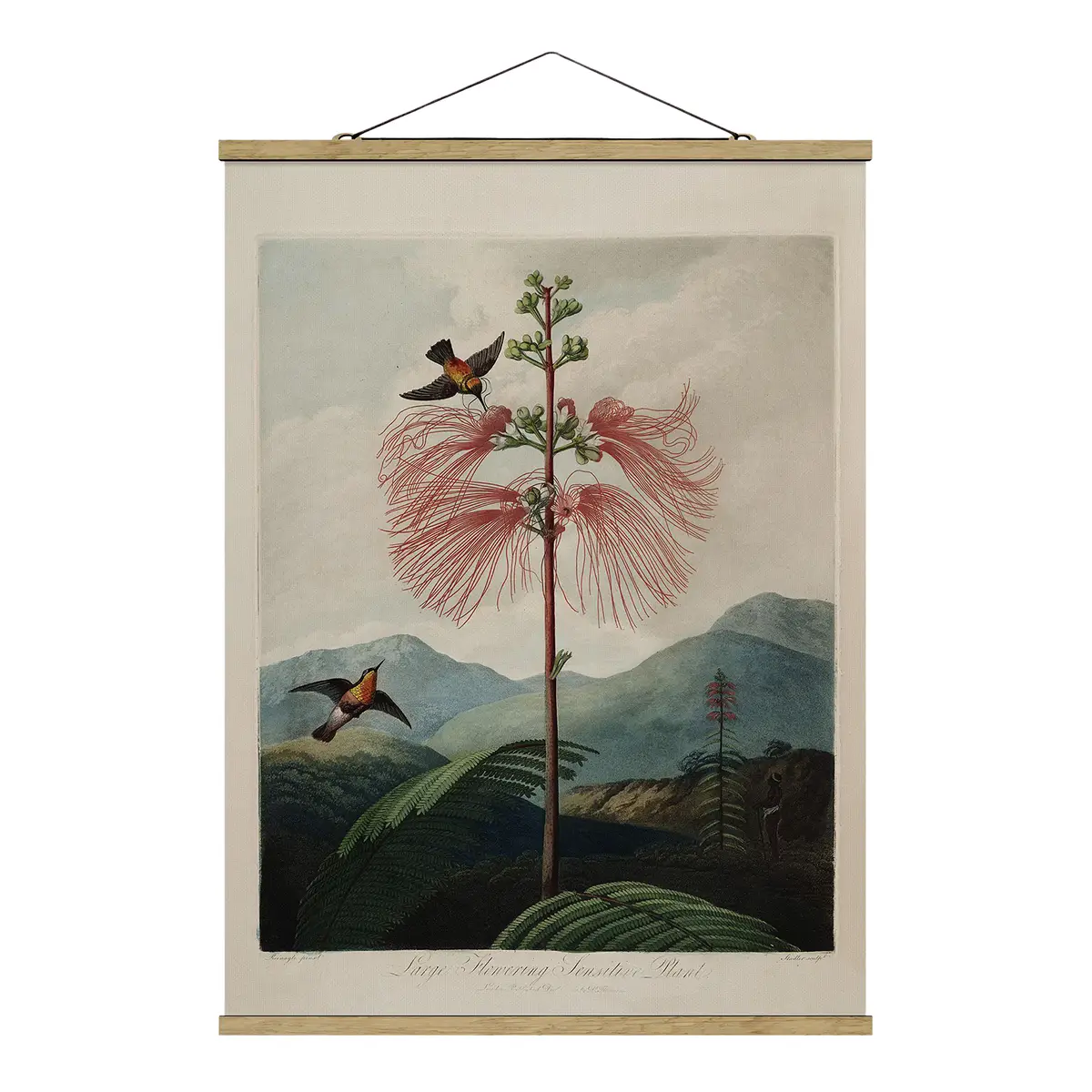 Stoffbild Botanik Blüte & Kolibri | Mehrfarbig