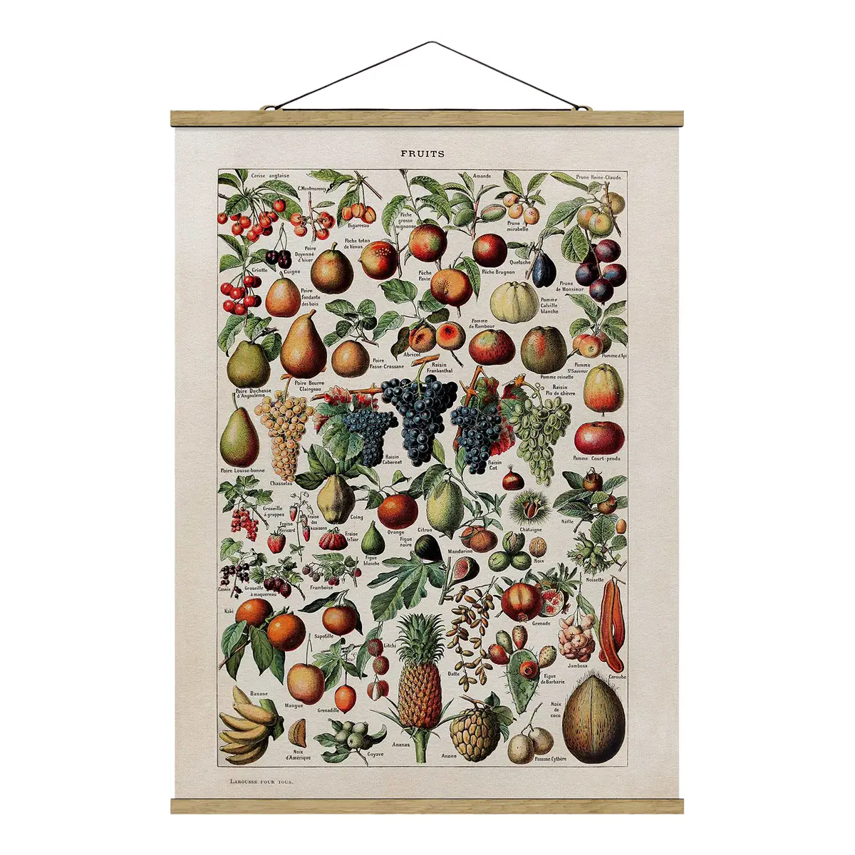 Stoffbild Vintage Lehrtafel Früchte | Mehrfarbig