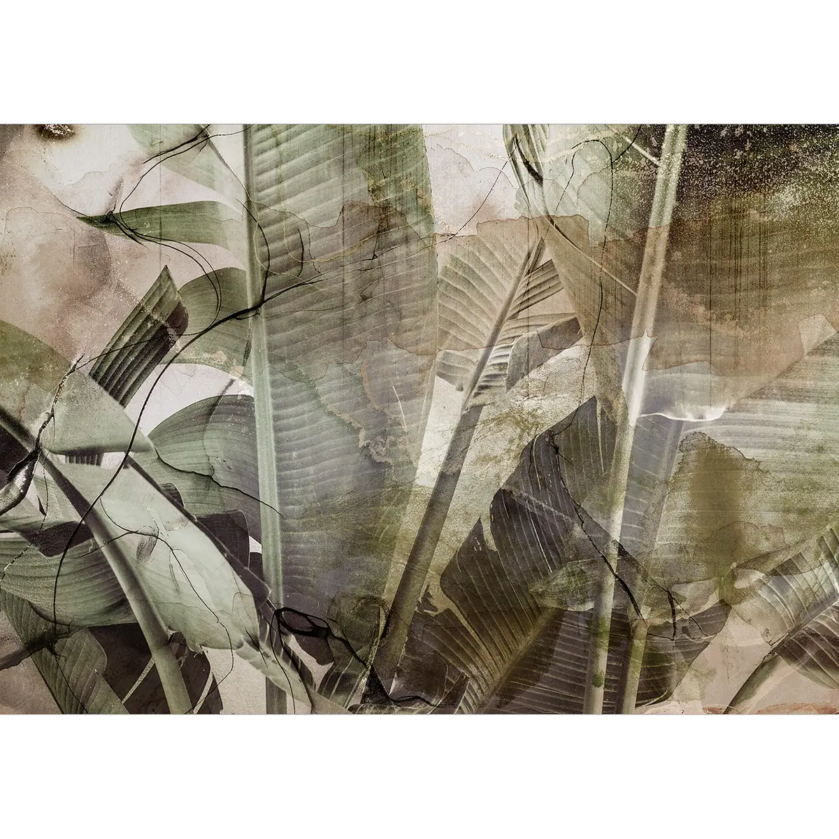 Vlies Fototapete Banana Jungle | Grün