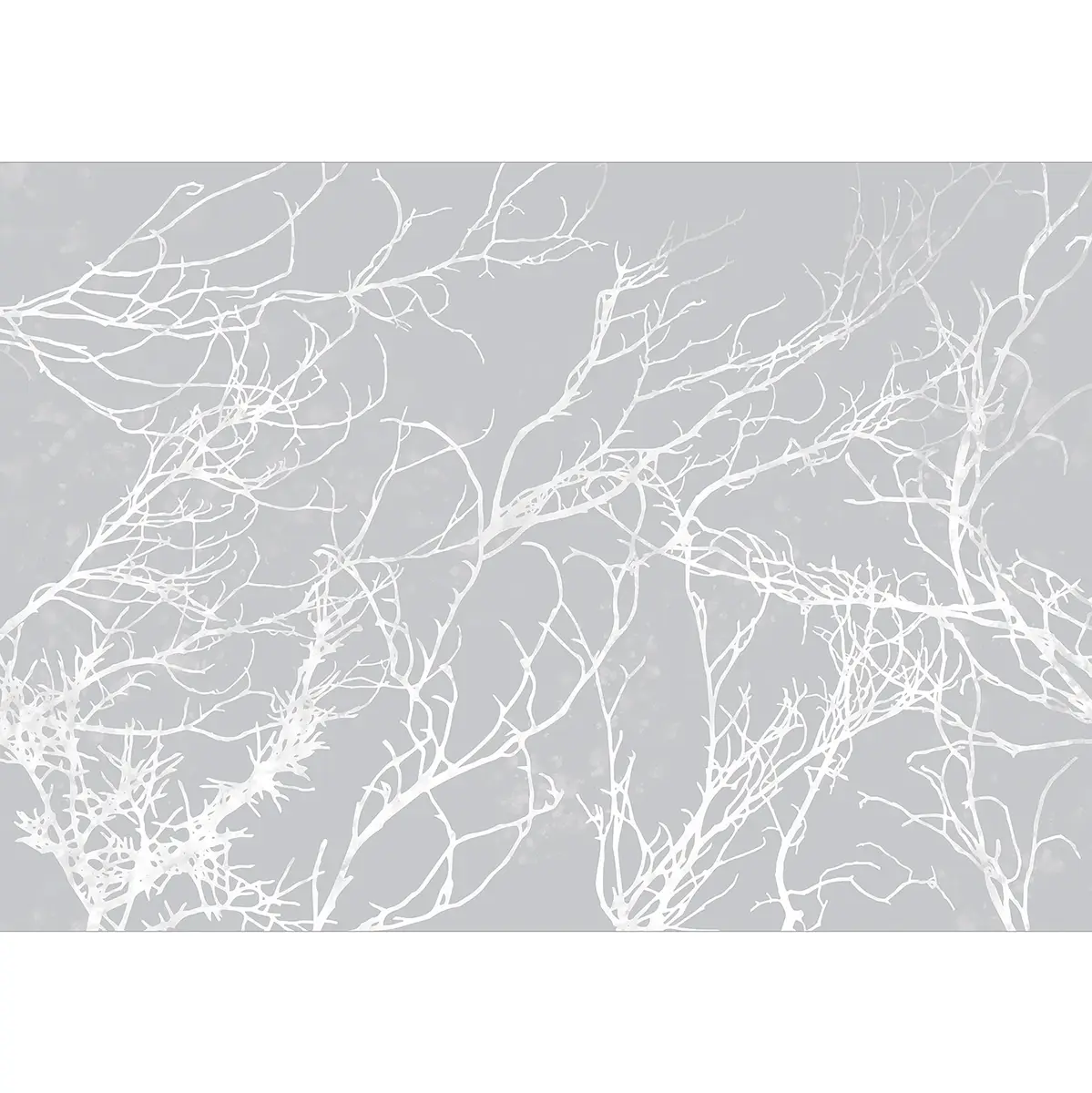Fototapete White Trees | Grau